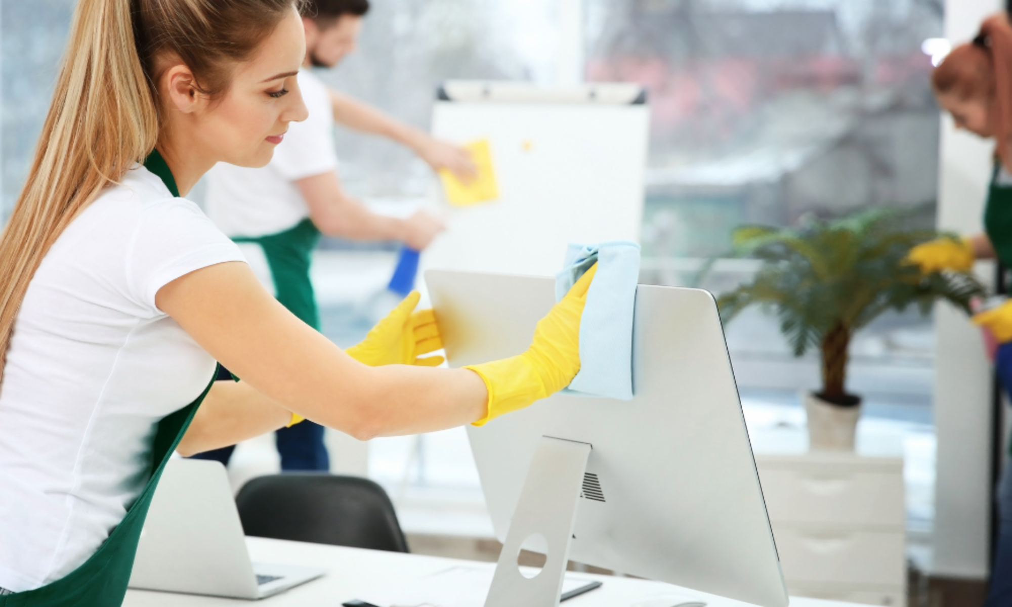 usługi sprzątające Lindner